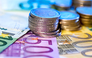 Czy Polska powinna przyjąć walutę euro? Poznaliśmy wyniki sondażu